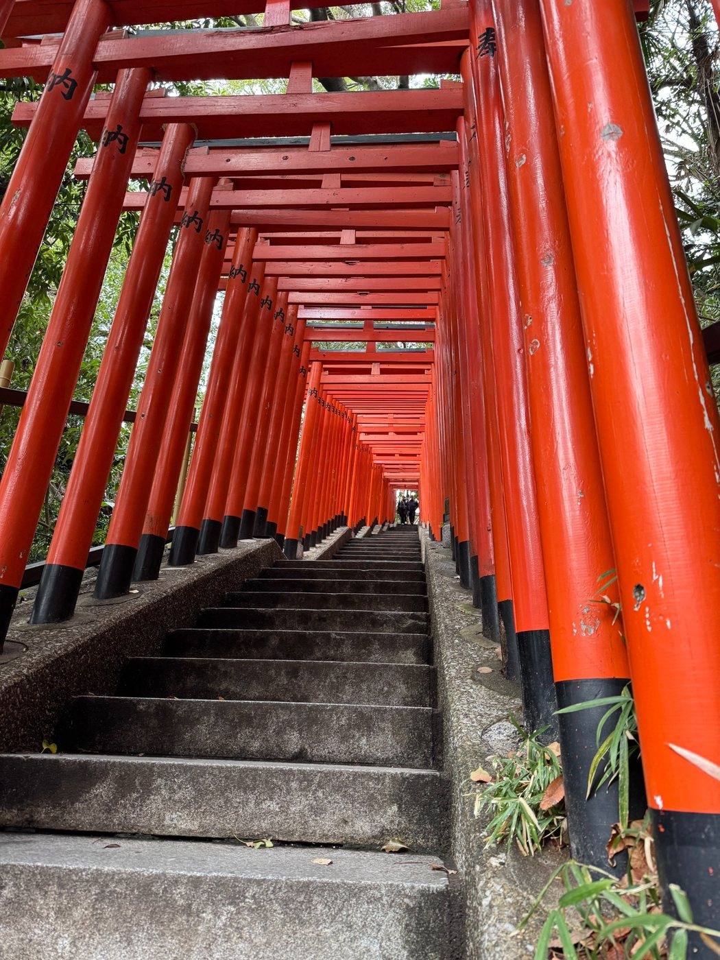 A path beneath vermilion torii gates