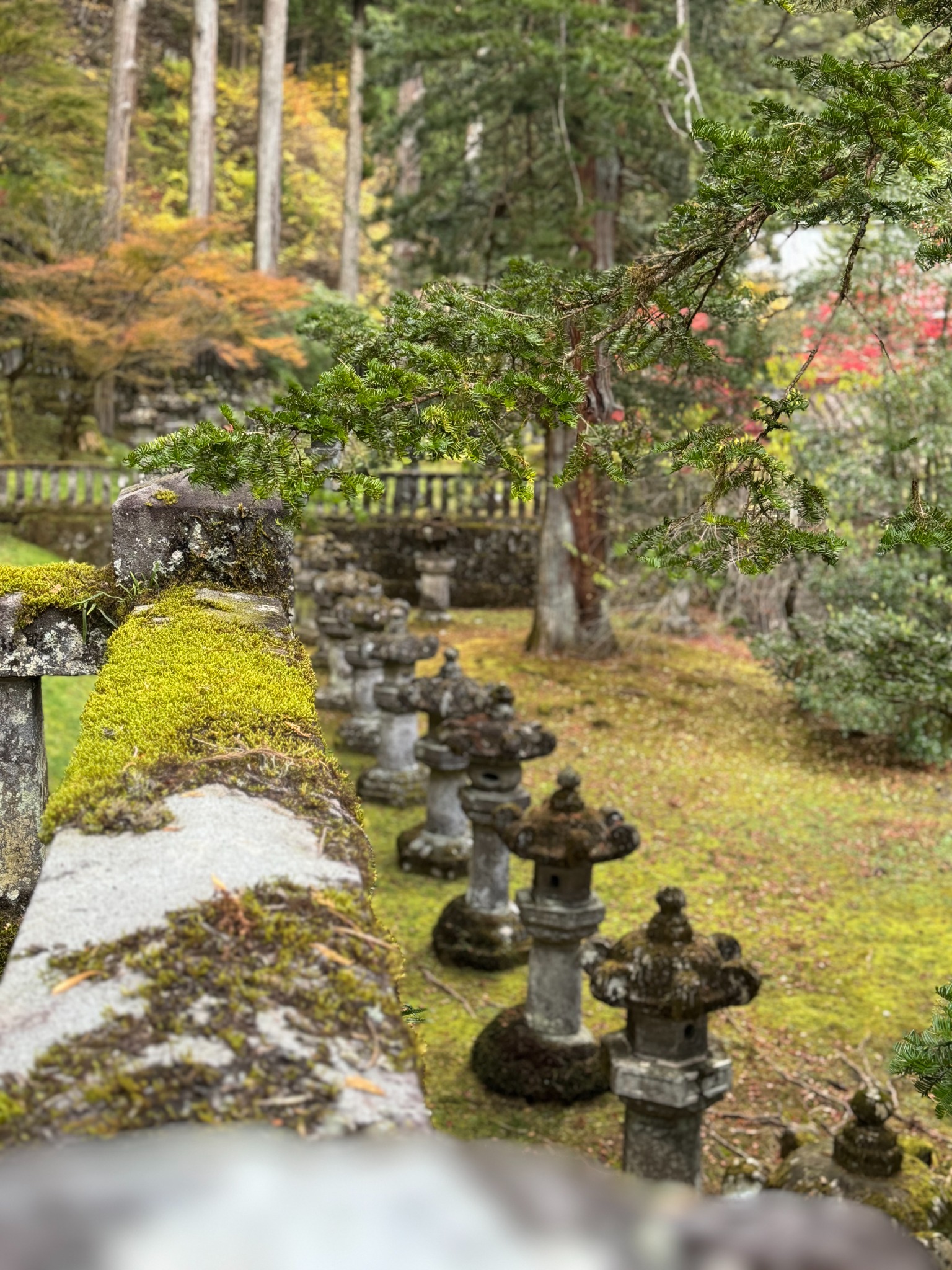 Moss-covered stone lanterns in Nikko